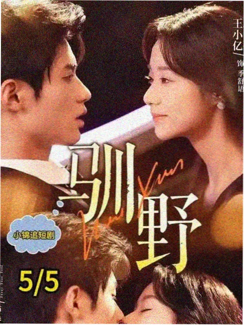 知否知否应是绿肥红瘦剧集海报